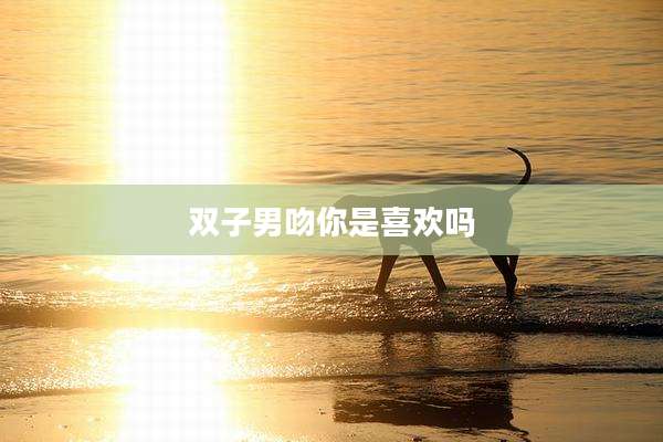 双子男吻你是喜欢吗