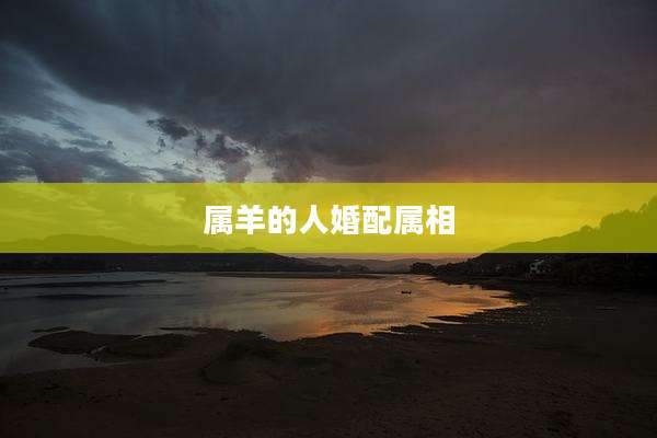 属羊的人婚配属相