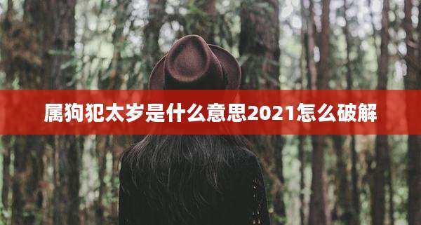 属狗犯太岁是什么意思2021怎么破解