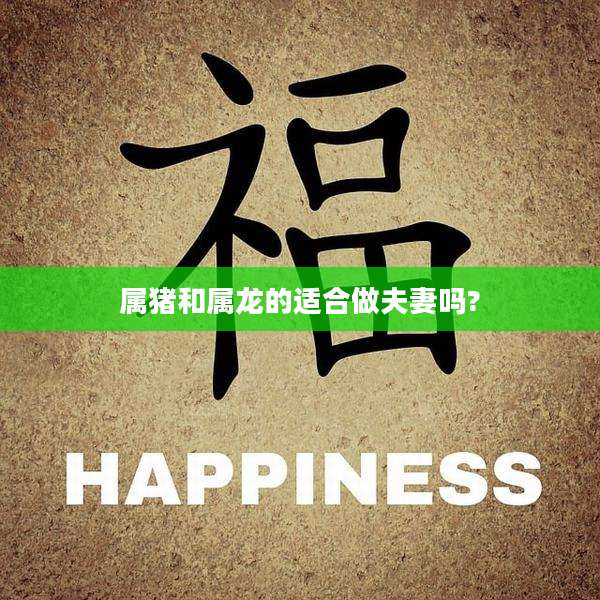 属猪和属龙的适合做夫妻吗?