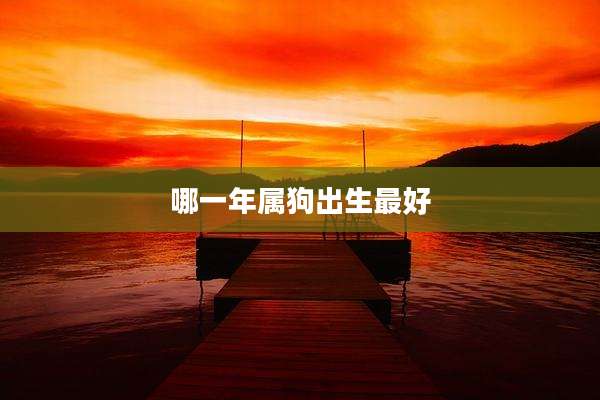 哪一年属狗出生最好