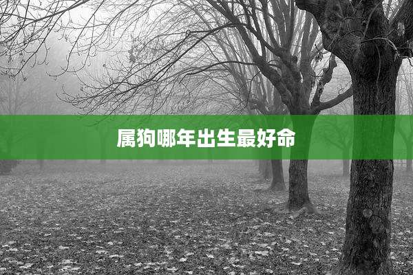 属狗哪年出生最好命