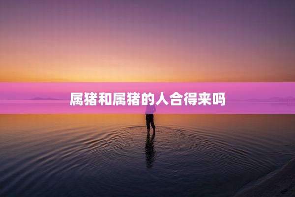 属猪和属猪的人合得来吗