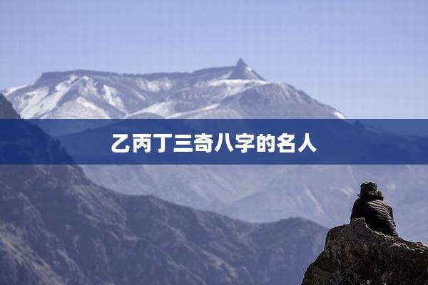 乙丙丁三奇八字的名人