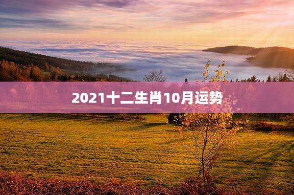 2021十二生肖10月运势