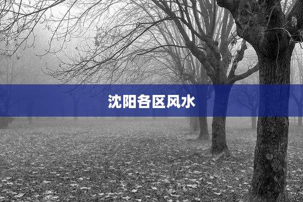 沈阳各区风水