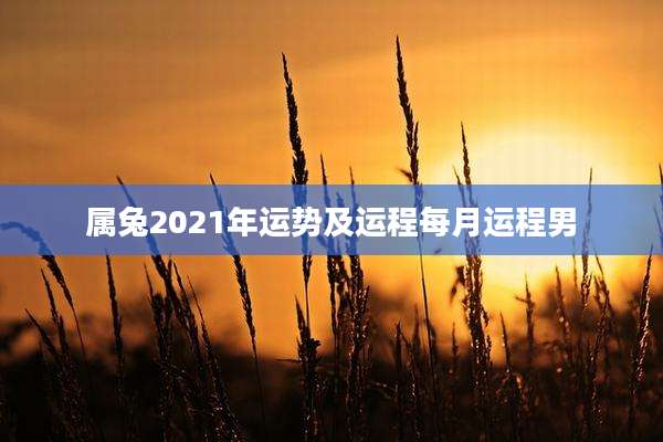 属兔2021年运势及运程每月运程男