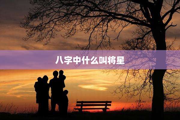 八字中什么叫将星
