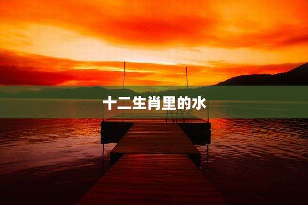 十二生肖里的水