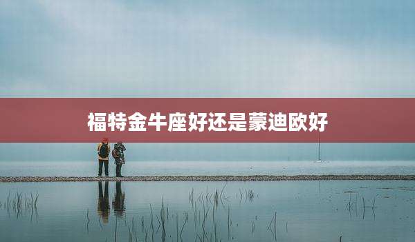 福特金牛座好还是蒙迪欧好