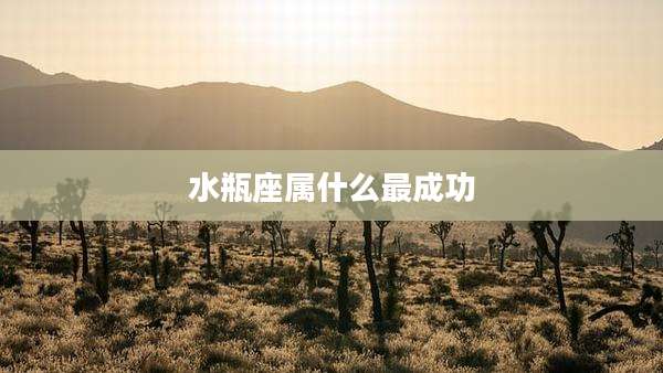 水瓶座属什么最成功