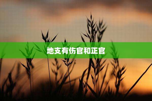 地支有伤官和正官