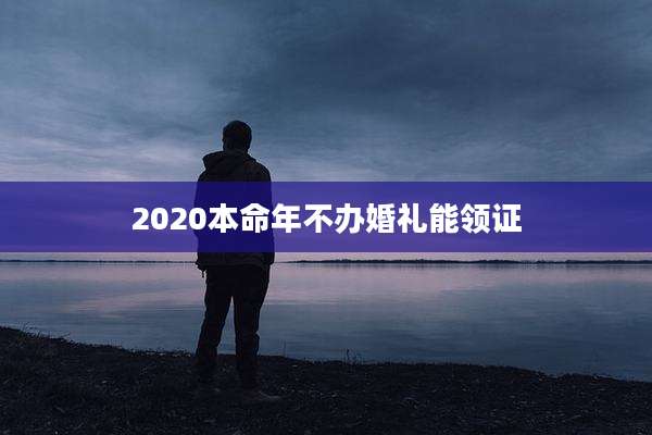2020本命年不办婚礼能领证
