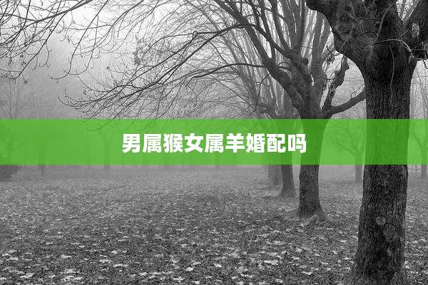 男属猴女属羊婚配吗