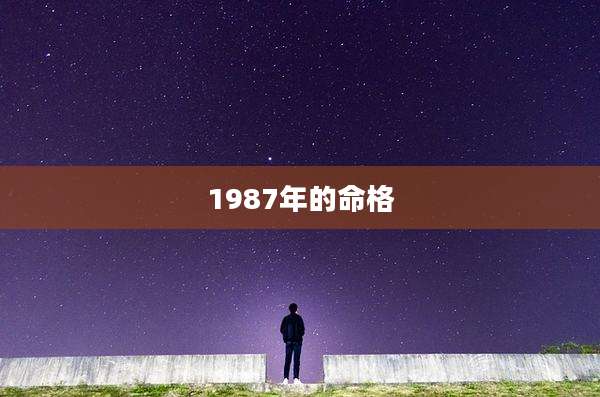 1987年的命格