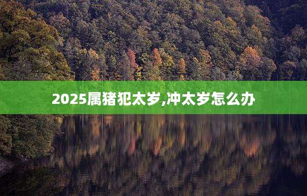 2025属猪犯太岁,冲太岁怎么办