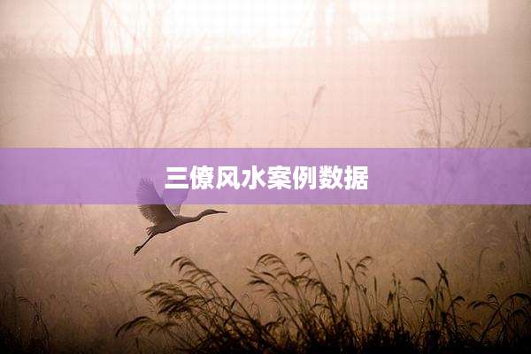 三僚风水案例数据