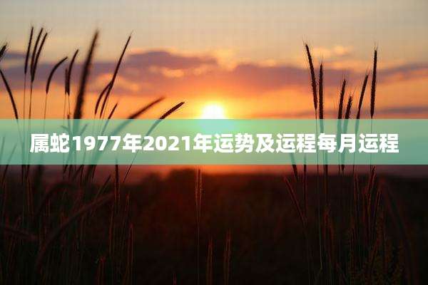 属蛇1977年2021年运势及运程每月运程