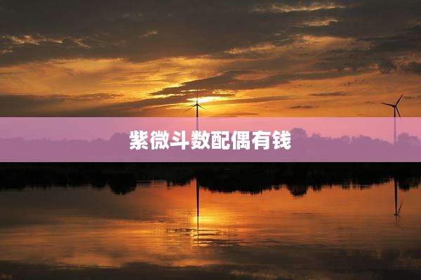 紫微斗数配偶有钱