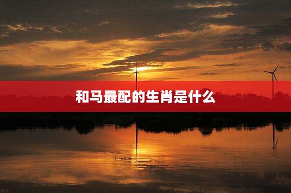 和马最配的生肖是什么