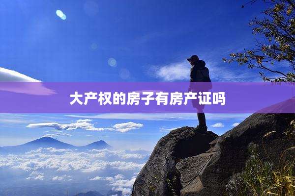 大产权的房子有房产证吗
