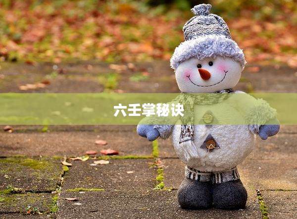 六壬掌秘诀