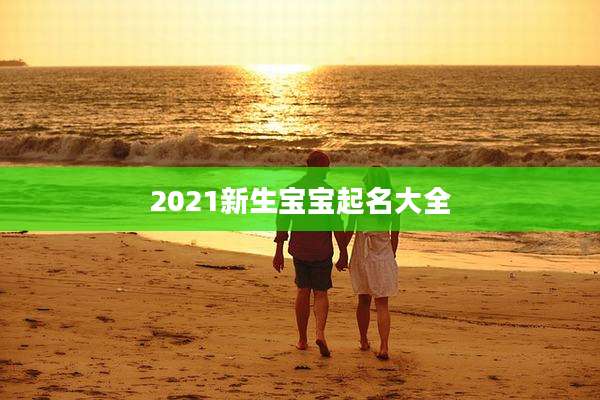 2021新生宝宝起名大全