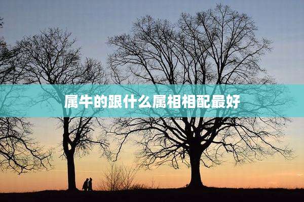 属牛的跟什么属相相配最好