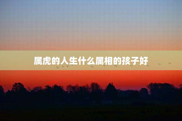 属虎的人生什么属相的孩子好