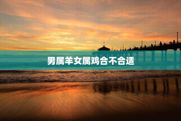 男属羊女属鸡合不合适