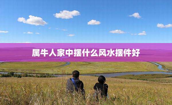 属牛人家中摆什么风水摆件好