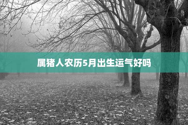 属猪人农历5月出生运气好吗