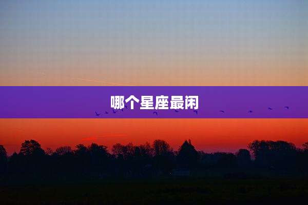 哪个星座最闲