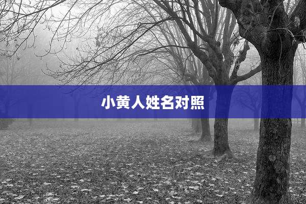 小黄人姓名对照