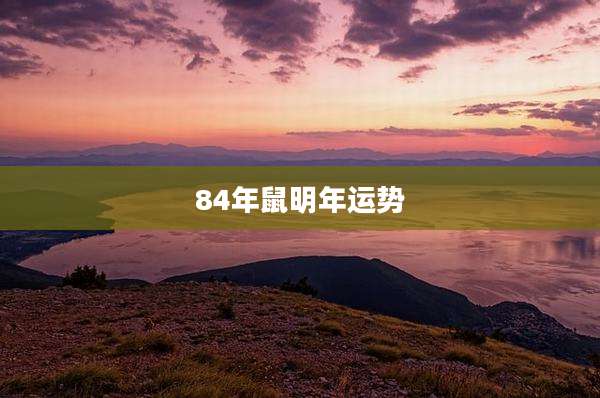 84年鼠明年运势