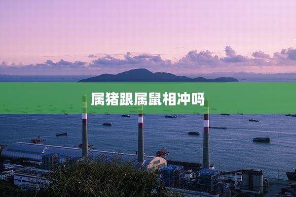 属猪跟属鼠相冲吗