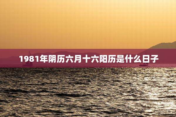 1981年阴历六月十六阳历是什么日子