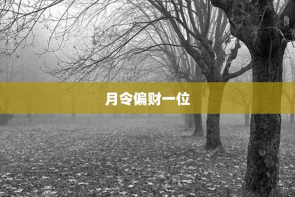 月令偏财一位