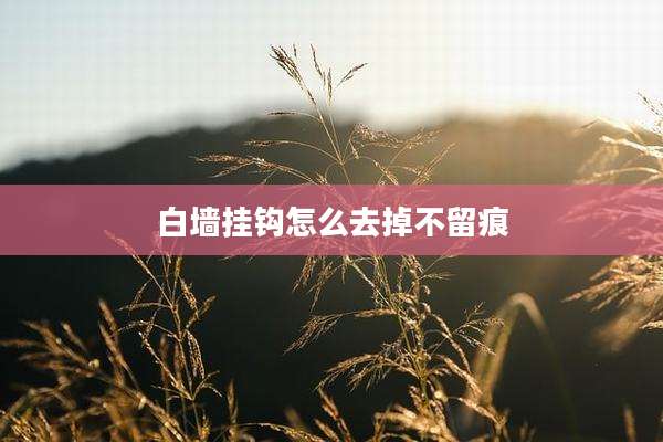 白墙挂钩怎么去掉不留痕