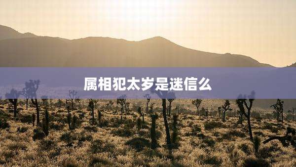 属相犯太岁是迷信么