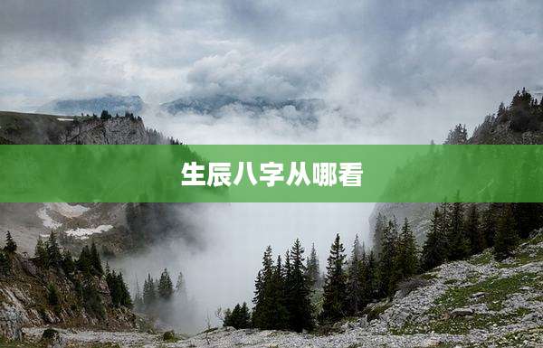 生辰八字从哪看