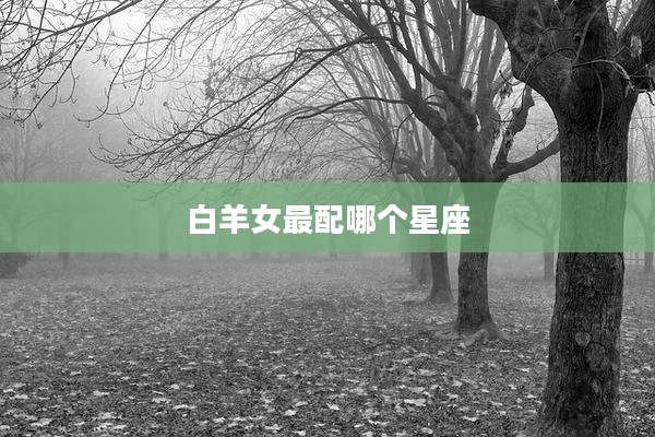 白羊女最配哪个星座