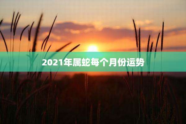 2021年属蛇每个月份运势