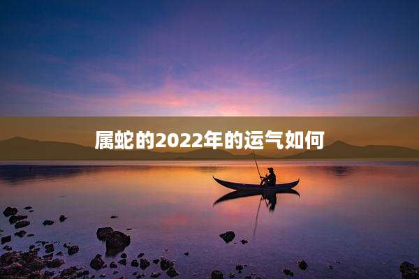 属蛇的2022年的运气如何