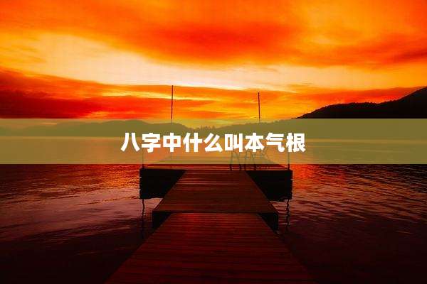 八字中什么叫本气根