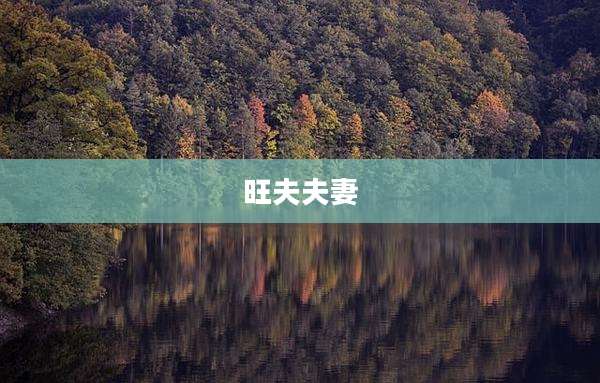 旺夫夫妻