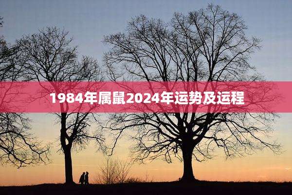 1984年属鼠2024年运势及运程