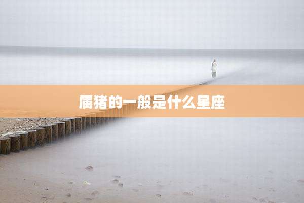 属猪的一般是什么星座