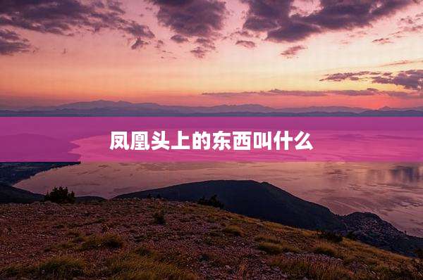 凤凰头上的东西叫什么