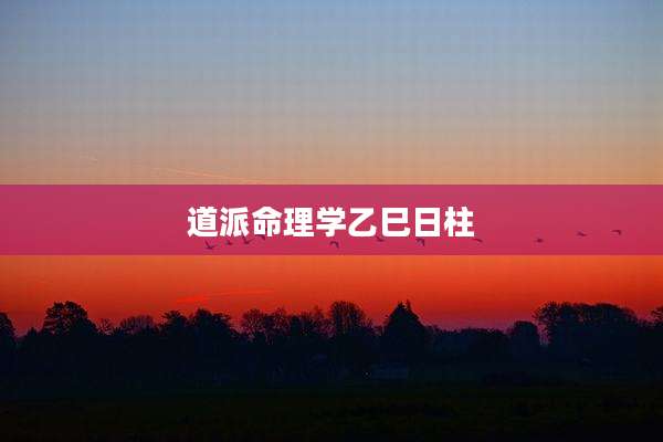 道派命理学乙巳日柱